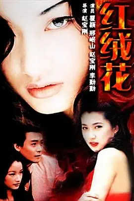 《红绒花》:战火中的绽放,谱写生命的赞歌