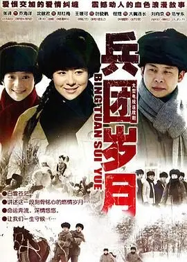 在战火中铸就英雄:《兵团岁月》的感人军旅传奇