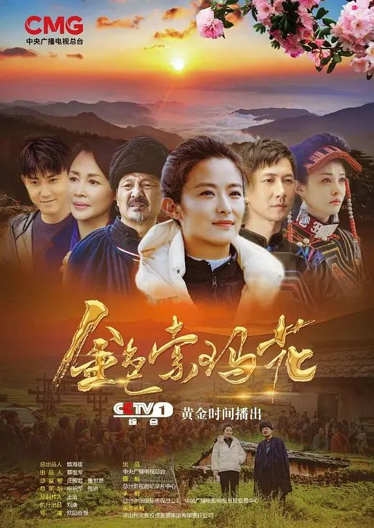 《金色索玛花》:藏地秘境的温暖绽放,治愈心灵的史诗